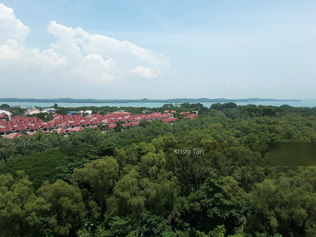Blk 505 Pasir Ris Street 52 (Pasir Ris), HDB Executive #130962022